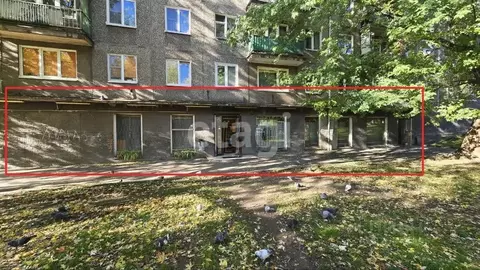 Помещение свободного назначения в Калининградская область, Калининград ...