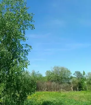 Участок в Костромская область, Красносельский муниципальный округ, ...