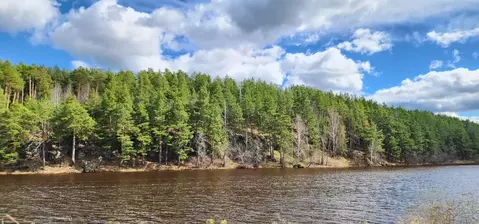 Участок в Свердловская область, Сысертский муниципальный округ, с. ...