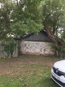 Участок в Рязанская область, Пронский район, Тырновское с/пос, д. ...