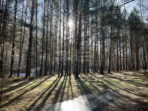 Участок в Иркутская область, Иркутский муниципальный округ, пос. ...