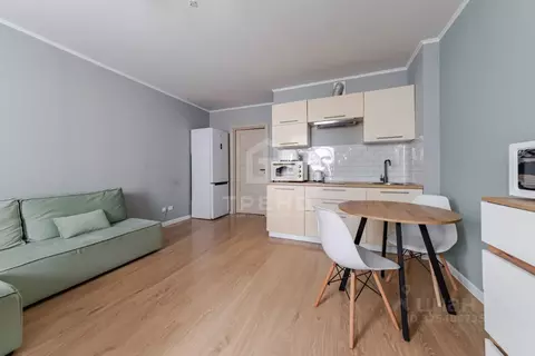 Студия Санкт-Петербург просп. Энергетиков, 11к2 (25.7 м)