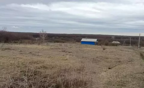 Участок в Саратовская область, Лысогорский район, Большерельненское ...