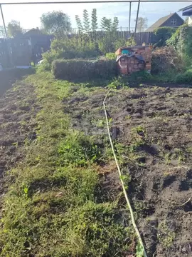 Участок в Челябинская область, Озерский городской округ, пос. Метлино ...