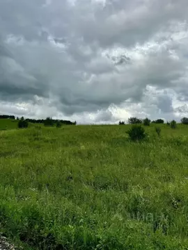 Участок в Алтайский край, Солонешенский район, с. Искра  (60000.0 ...