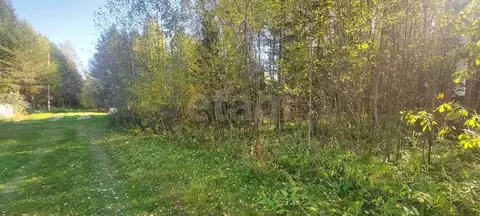 Участок в Коми, Сыктывдинский район, Выльгорт муниципальное ...