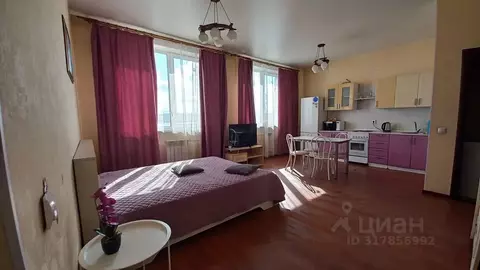 Студия Иркутская область, Иркутск наб. Верхняя, 145/5 (45.0 м)