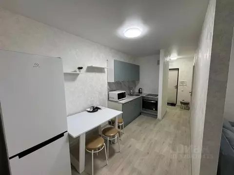 Студия Тюменская область, Тюмень ул. Анатолия Клиндюка, 6 (25.0 м)