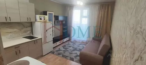 Студия Новосибирская область, Новосибирск ул. Виктора Уса, 13 (21.0 м)