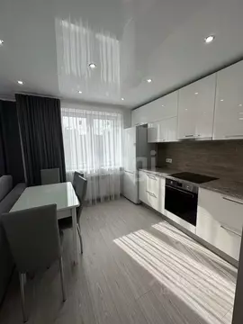 1-к кв. Нижегородская область, Нижний Новгород Московское ш., 167к1 ...