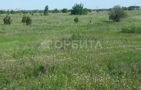 Участок в Тюменская область, Тюмень  (290.0 сот.)