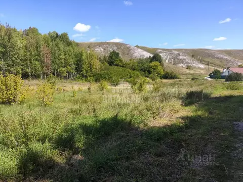 Участок в Воронежская область, Хохольский район, с. Костенки ул. ...