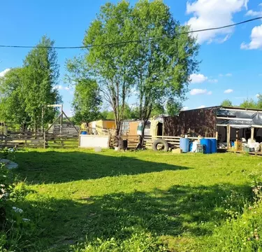 Участок в Ленинградская область, Ломоносовский район, Гостилицкое ...