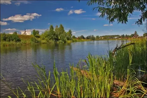 Участок в Тверская область, Калязинский муниципальный округ, д. ...