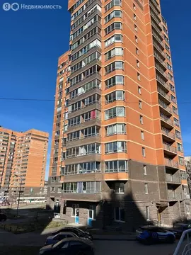 Квартира-студия: посёлок Металлострой, Садовая улица, 8 (25.7 м)