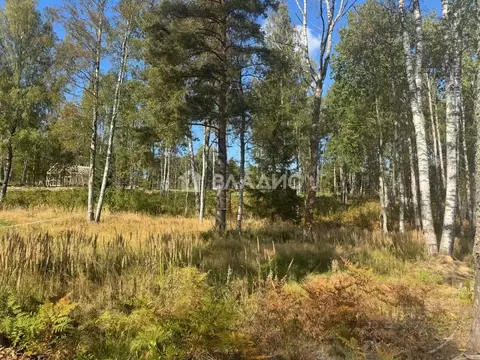 Участок в Ленинградская область, Всеволожский район, Куйвозовское ...