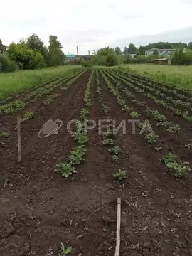 Участок в Тюменская область, Нижнетавдинский муниципальный округ, с. ...