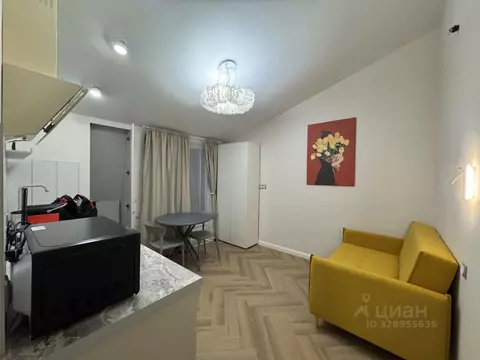 Студия Краснодарский край, Сочи ул. Яна Фабрициуса, 66/5 (18.0 м)