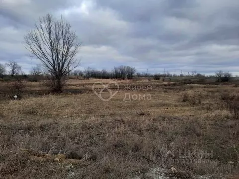 Участок в Волгоградская область, Городищенский район, Россошенское ...