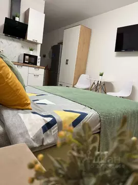 1-к кв. Московская область, Ногинск Богородский городской округ, ул. ...