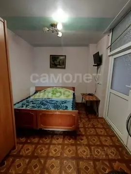 1-к кв. Севастополь Сосновая роща садоводческое товарищество, 82 (20.0 ...