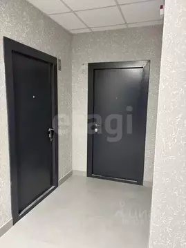 Студия Ростовская область, Аксай ул. Александра Невского, 2к2 (23.1 м)