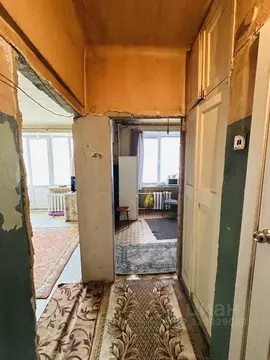 1-к кв. Московская область, Балашиха Керамик мкр, ул. Заводская, 33 ...