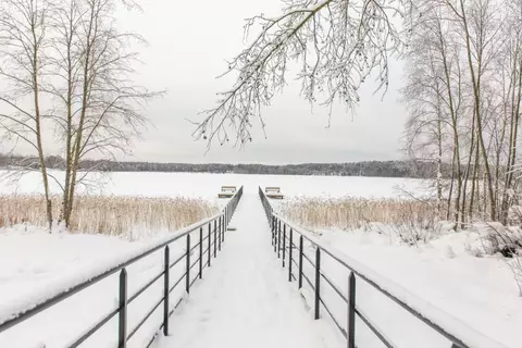 Участок в Ленинградская область, Выборгский район, Первомайское с/пос, ...