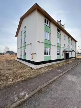 2-к кв. Новгородская область, Солецкий муниципальный округ, д. Выбити ...