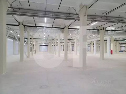 Помещение свободного назначения в Москва Рябиновая ул., 53 (8800 м)