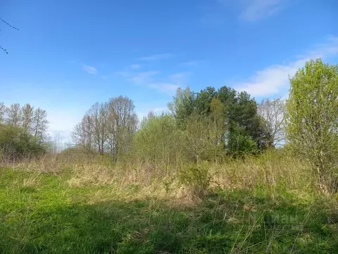 Участок в Псковская область, Псковский район, Тямшанская волость, д. ...