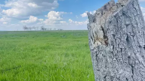 Участок в Крым, Кировский район, с. Золотое Поле ул. Джайляв (10.0 ...