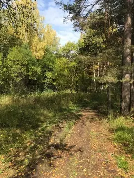 Участок в Свердловская область, Ревда муниципальный округ, с. Кунгурка ...