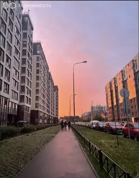 Квартира-студия: Санкт-Петербург, проспект Ветеранов, 171к5 (24 м)