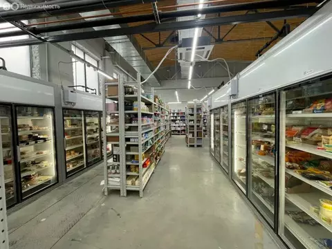 Помещение свободного назначения (517.27 м)