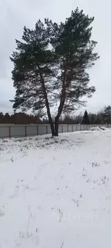 Участок в Московская область, Одинцовский городской округ, Серебряные ...