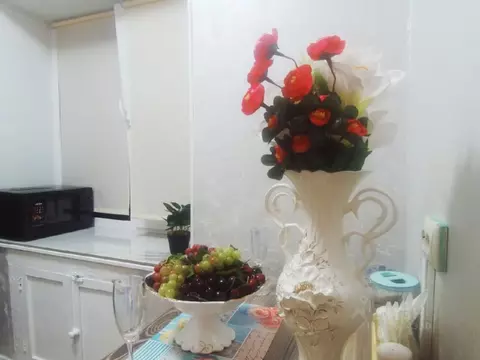 Студия Московская область, Ивантеевка Пушкинский городской округ, ...