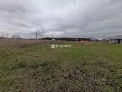 Участок в Белгородская область, Корочанский район, с. Погореловка  ...