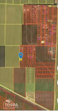 Участок в Крым, Сакский район, Уютненское с/пос, Братские дачи кп ул. ...