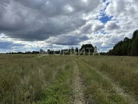 Участок в Тюменская область, Ялуторовский муниципальный округ, с. ...