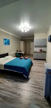 Студия Ставропольский край, Пятигорск Оранжерейная ул., 17 (25.0 м)