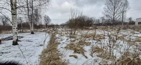 Участок в Костромская область, Костромской район, Шунгенское с/пос, ...