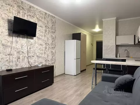 Студия Ростовская область, Ростов-на-Дону 2-я Баррикадная ул., 4 (33.5 ...