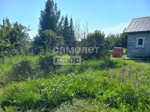 Участок в Вологодская область, д. Старое (Старосельский сельсовет) 31 ...