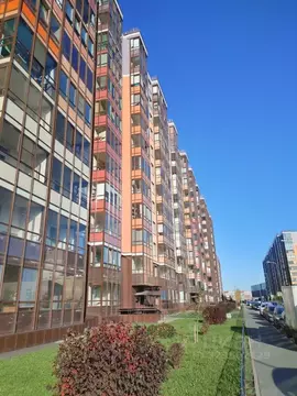 Студия Санкт-Петербург ул. Летчика Лихолетова, 14к3 (24.1 м)