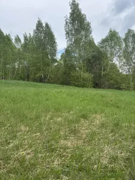 Участок в Московская область, Ступино городской округ, д. Залуги  (7.0 ...