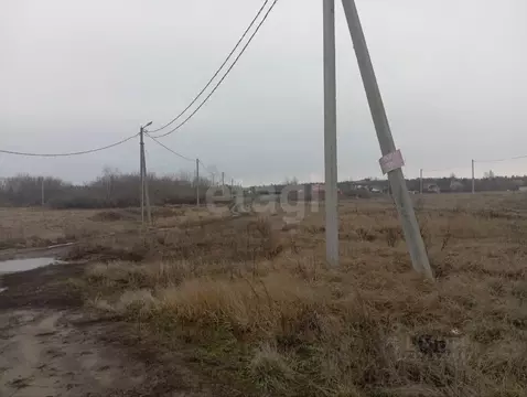 Участок в Воронежская область, Рамонский район, Новоживотинновское ...