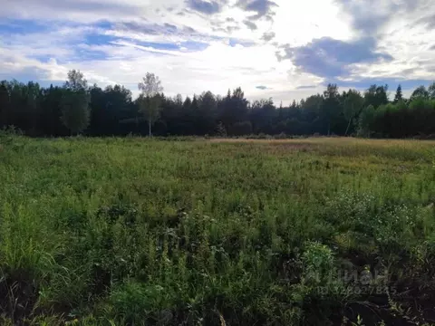 Участок в Тверская область, Калининский муниципальный округ, д. ...