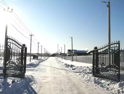 Участок в Ленинградская область, Ломоносовский район, Пениковское ...