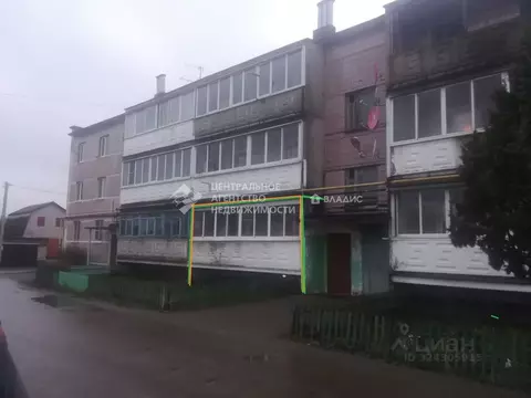 2-к кв. Рязанская область, Рыбновский муниципальный округ, с. Ходынино ...